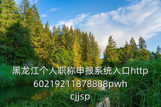 黑龍江個人職稱申報系統入口http60219211878888pwhcjjsp