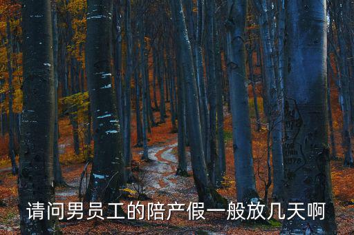 請問男員工的陪產假一般放幾天啊