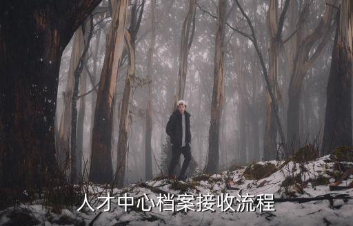 人才中心檔案接收流程，人才中心檔案接收流程