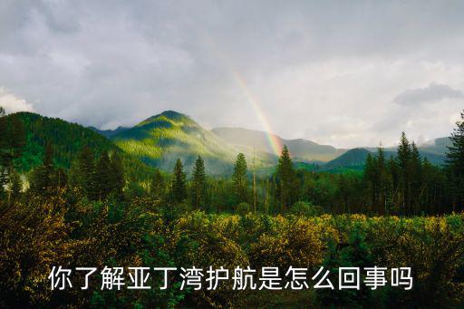 你了解亞丁灣護航是怎么回事嗎
