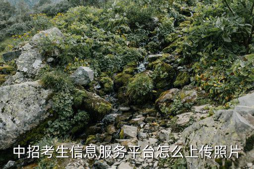 中招考生信息服務平臺，中招考生信息服務平臺怎么上傳照片