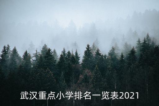 武昌區小學排名，武漢大東門小學排名第幾