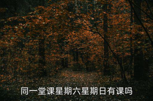 同一堂課回放，同一堂課星期六星期日有課嗎