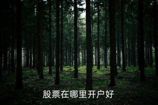 股票在哪里開戶好