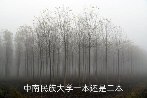 中南民族大學(xué)官網(wǎng)首頁(yè)，中南民族大學(xué)信息門戶怎么重新改密碼