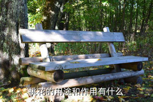 桃花的用途和作用有什么