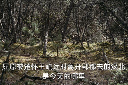 屈原被楚懷王疏遠(yuǎn)時(shí)離開郢都去的漢北是今天的哪里