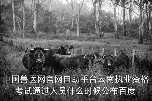 中國獸醫網官網自助平臺云南執業資格考試通過人員什么時候公布百度