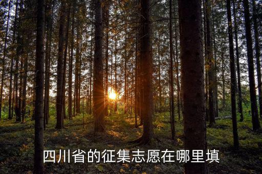 四川省的征集志愿在哪里填