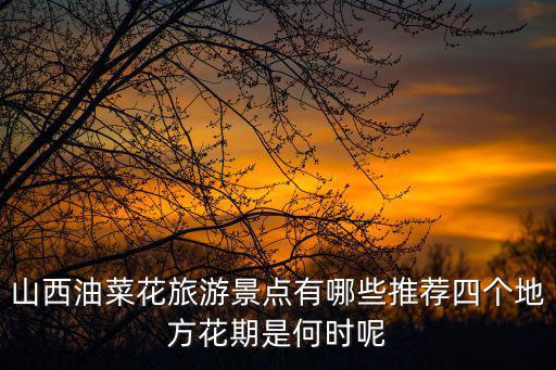 山西油菜花旅游景點有哪些推薦四個地方花期是何時呢