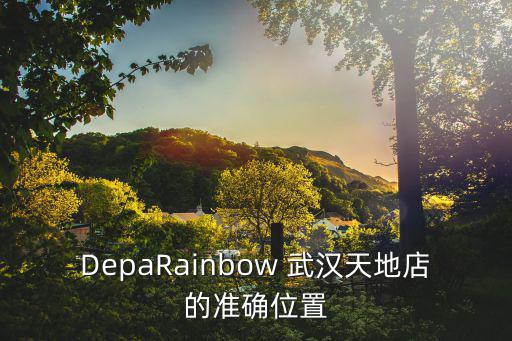 DepaRainbow 武漢天地店的準確位置