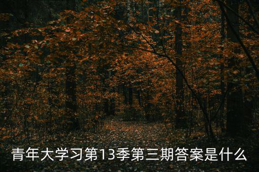 青年大學習第13季第三期答案是什么