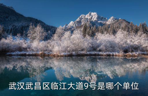武漢武昌區(qū)臨江大道9號是哪個單位