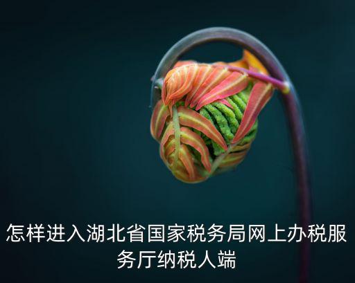 怎樣進入湖北省國家稅務局網上辦稅服務廳納稅人端