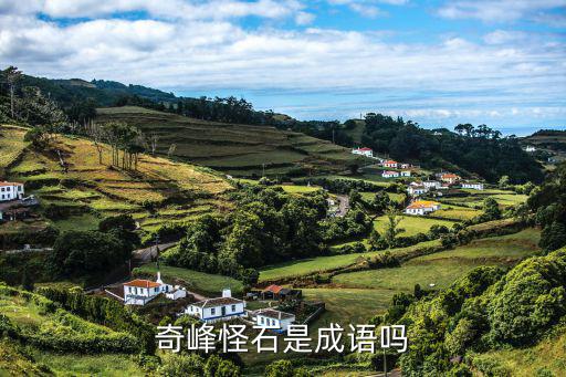 奇峰怪石是成語嗎