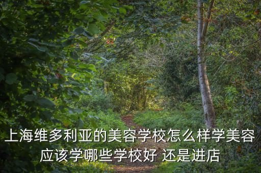 上海維多利亞的美容學(xué)校怎么樣學(xué)美容應(yīng)該學(xué)哪些學(xué)校好 還是進店