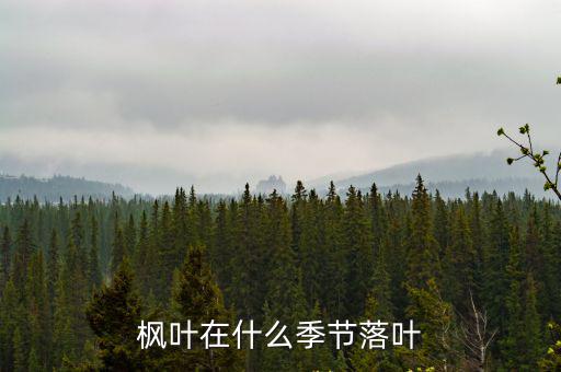 楓葉在什么季節落葉