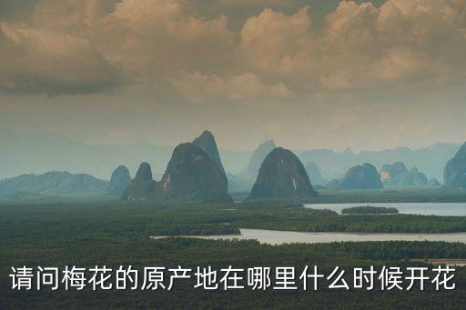 請問梅花的原產(chǎn)地在哪里什么時候開花