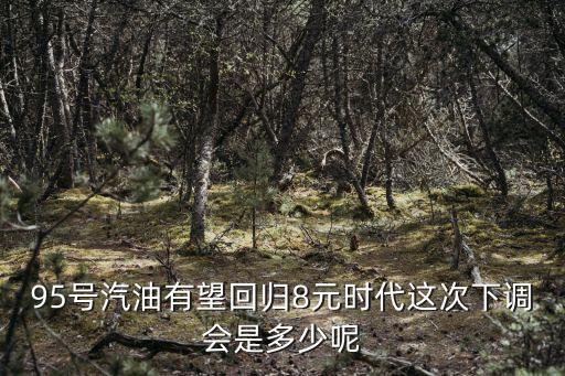 油費最新調價，83路公交車新調價后票價多少錢