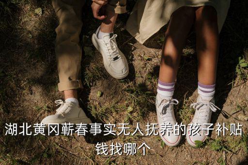 湖北黃岡蘄春事實無人撫養(yǎng)的孩子補貼錢找哪個