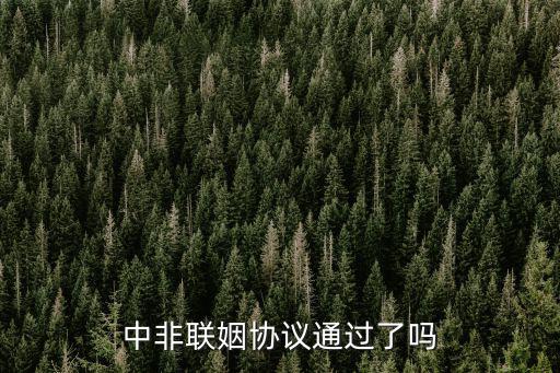 中非聯姻協議通過了嗎
