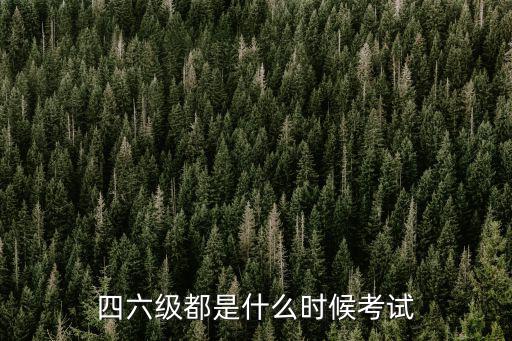 四六級都是什么時候考試
