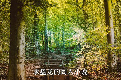 求盤龍的同人小說