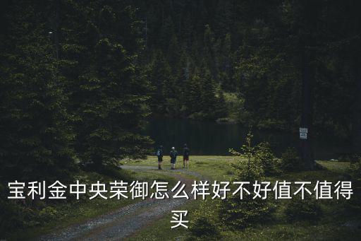 寶利金中央榮御怎么樣好不好值不值得買