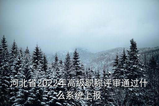 河北省2022年高級職稱評審通過什么系統上報