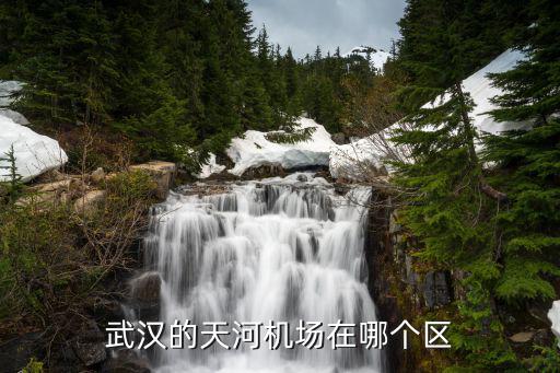 武漢的天河機場在哪個區