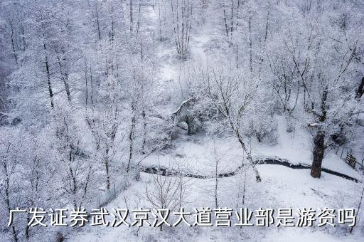 廣發(fā)證券武漢京漢大道營(yíng)業(yè)部是游資嗎