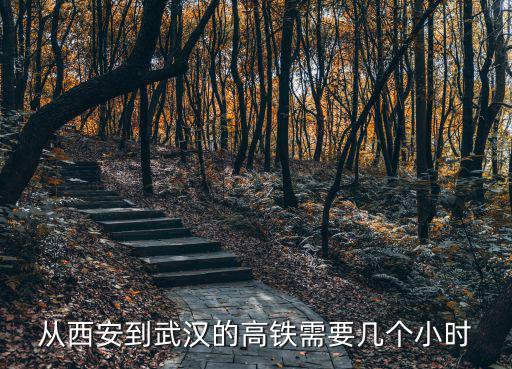 武西高鐵，武西高鐵站點