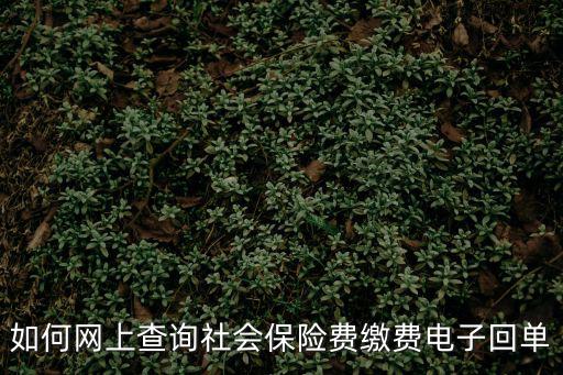 如何網上查詢社會保險費繳費電子回單
