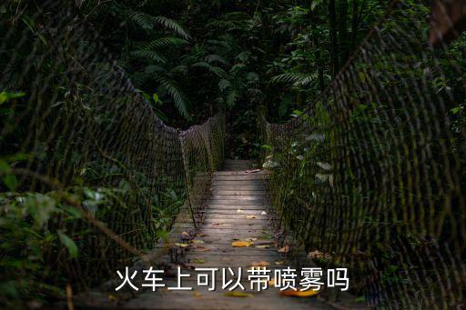 火車上可以帶噴霧嗎