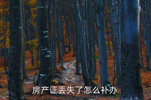房產證丟失了怎么補辦