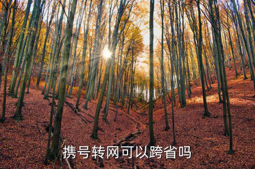 攜號轉(zhuǎn)網(wǎng)可以跨省嗎
