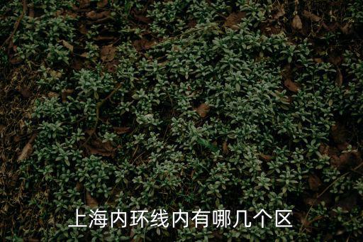 上海內環線內有哪幾個區
