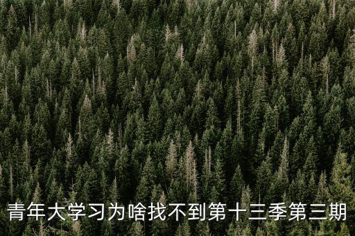 青年大學習為啥找不到第十三季第三期