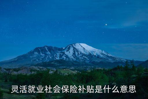 靈活就業(yè)社會(huì)保險(xiǎn)補(bǔ)貼是什么意思