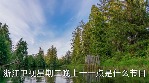 浙江衛(wèi)視節(jié)目表今天表，浙江衛(wèi)視深夜劇場播的是什么電視劇