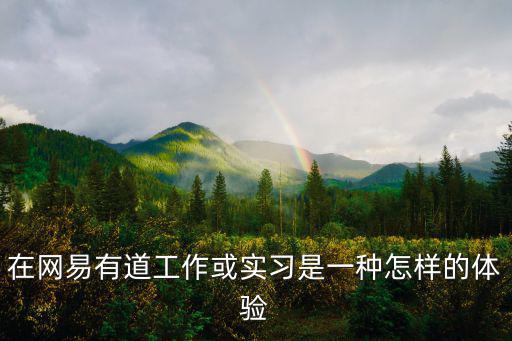 網易有道校園招聘，網易有道的校園招聘注冊我注冊了但是沒有激活郵箱