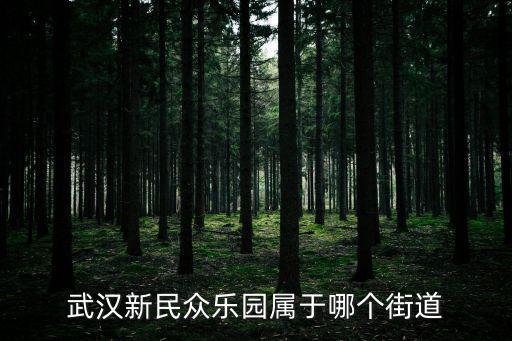 新民眾樂園，請問武漢光谷廣場怎么坐公交去新民眾樂園環(huán)藝電影院