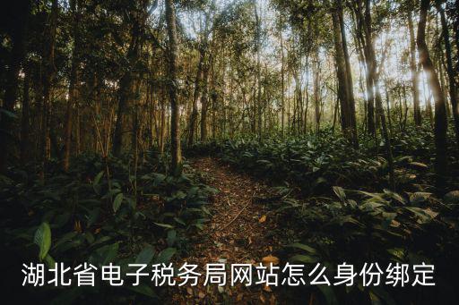 湖北電子，湖北電子眼違章查詢