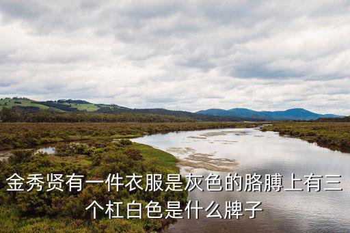 金秀賢有一件衣服是灰色的胳膊上有三個杠白色是什么牌子