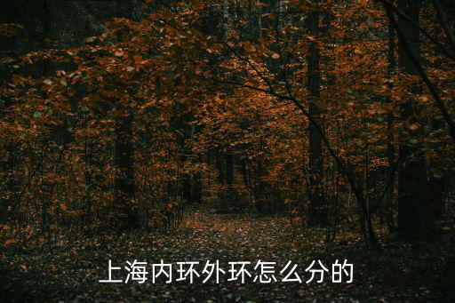 內環線，上海內環線