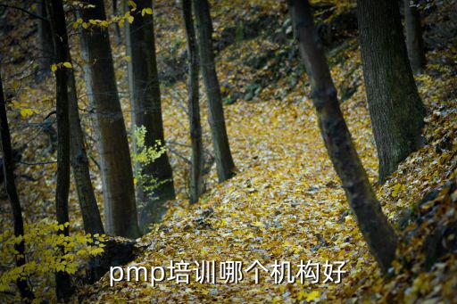 pmp培訓哪個機構好