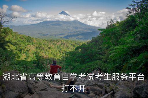 湖北省高等教育自學考試考生服務平臺打不開