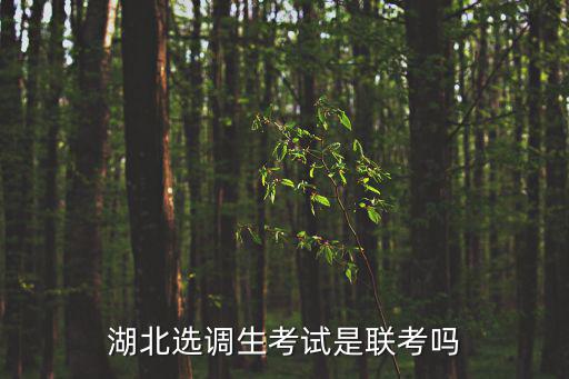 湖北選調生考試是聯考嗎