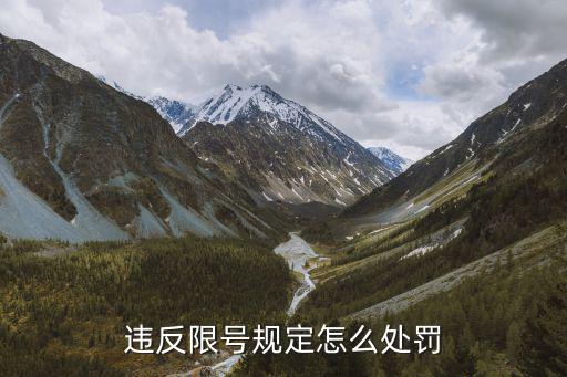 違反限號規定怎么處罰
