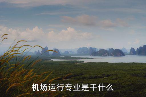 機場運行專業是干什么